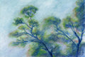 Branches